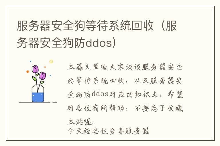 服务器安全狗等待系统回收（服务器安全狗防ddos）