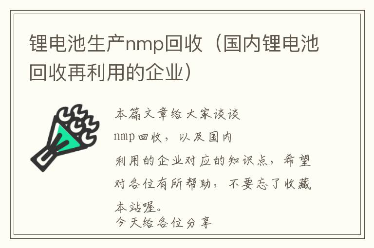 锂电池生产nmp回收（国内锂电池回收再利用的企业）