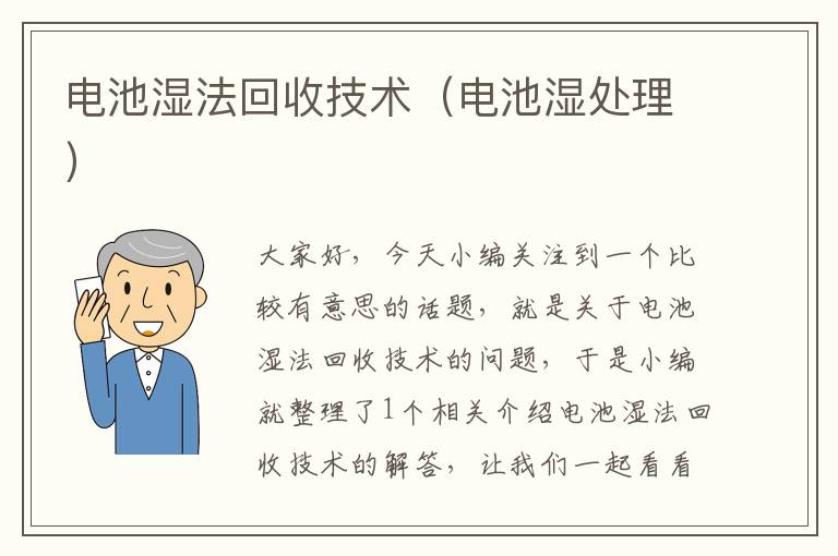 电池湿法回收技术（电池湿处理）