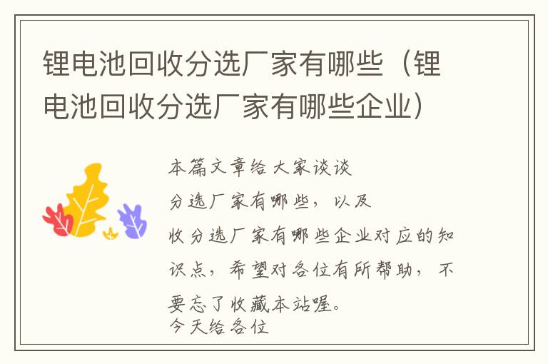 锂电池回收分选厂家有哪些（锂电池回收分选厂家有哪些企业）