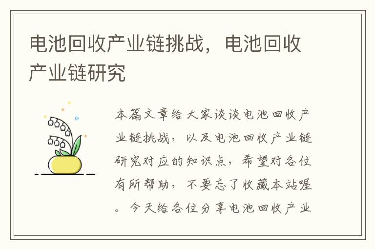 电池回收产业链挑战，电池回收产业链研究