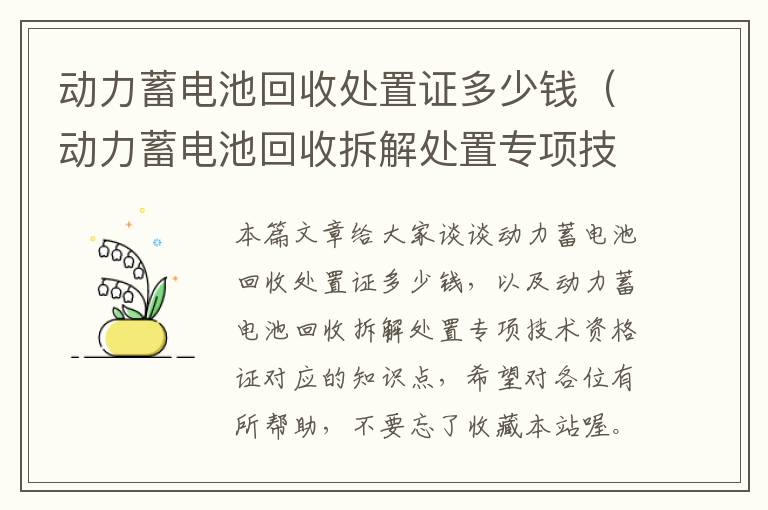 动力蓄电池回收处置证多少钱（动力蓄电池回收拆解处置专项技术资格证）