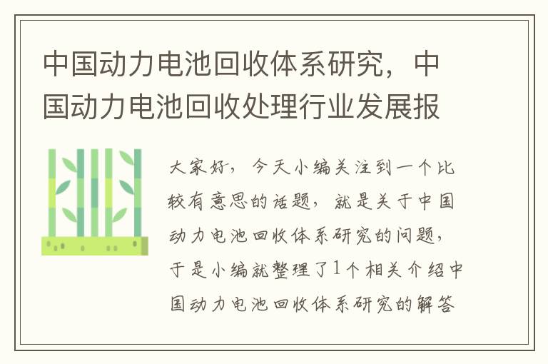 中国动力电池回收体系研究，中国动力电池回收处理行业发展报告