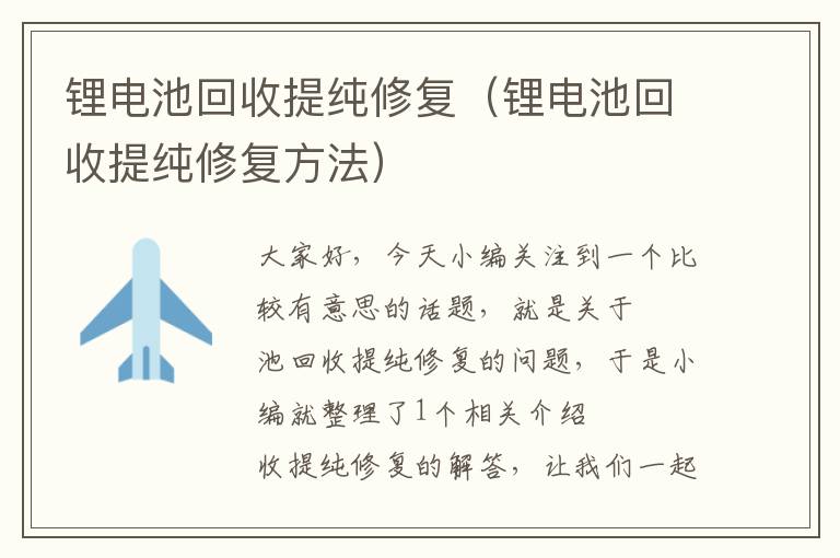 锂电池回收提纯修复（锂电池回收提纯修复方法）