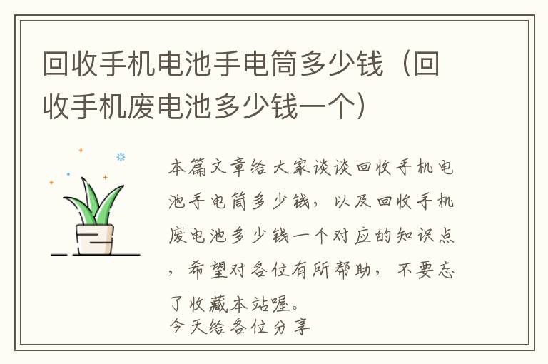 回收手机电池手电筒多少钱（回收手机废电池多少钱一个）