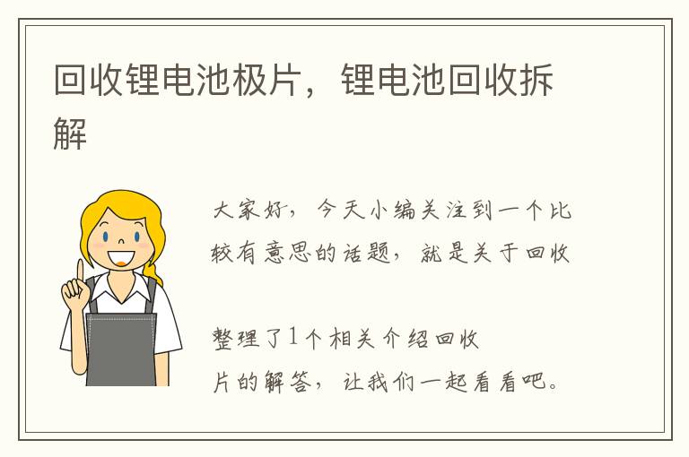 回收锂电池极片，锂电池回收拆解