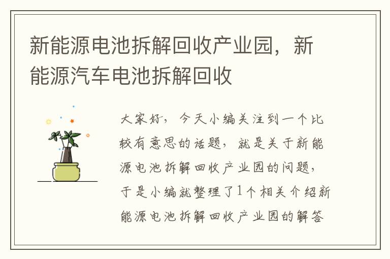 新能源电池拆解回收产业园，新能源汽车电池拆解回收