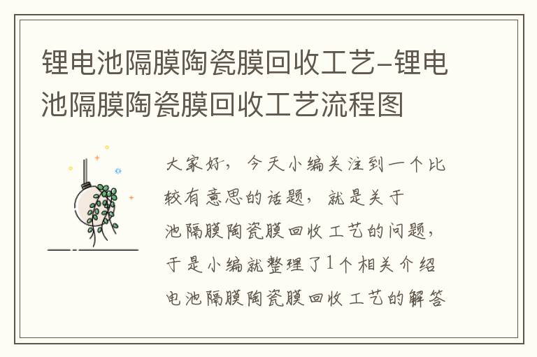 锂电池隔膜陶瓷膜回收工艺-锂电池隔膜陶瓷膜回收工艺流程图