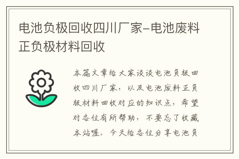 电池负极回收四川厂家-电池废料正负极材料回收