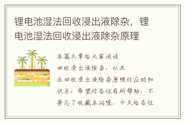 锂电池湿法回收浸出液除杂，锂电池湿法回收浸出液除杂原理