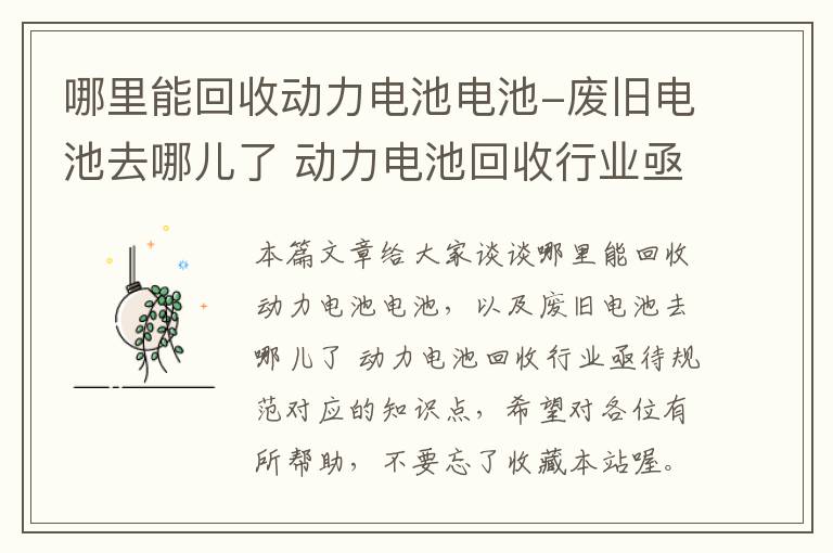 哪里能回收动力电池电池-废旧电池去哪儿了 动力电池回收行业亟待规范