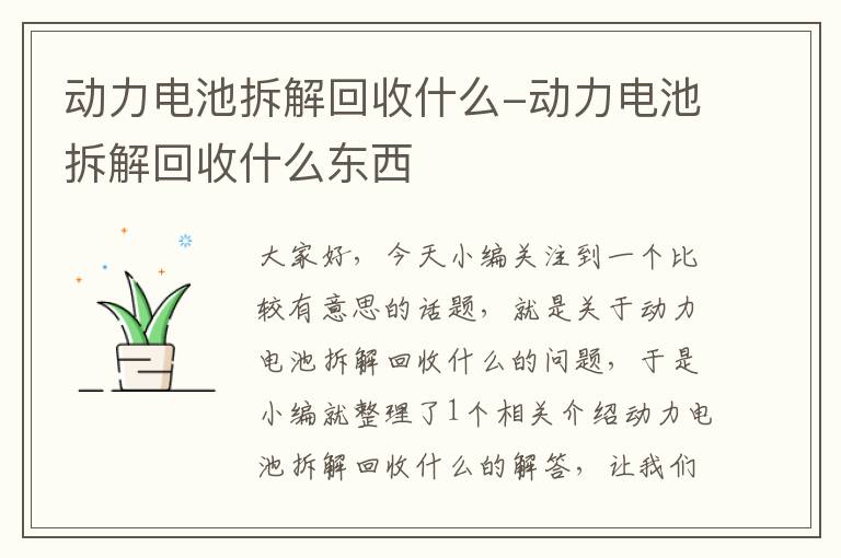 动力电池拆解回收什么-动力电池拆解回收什么东西