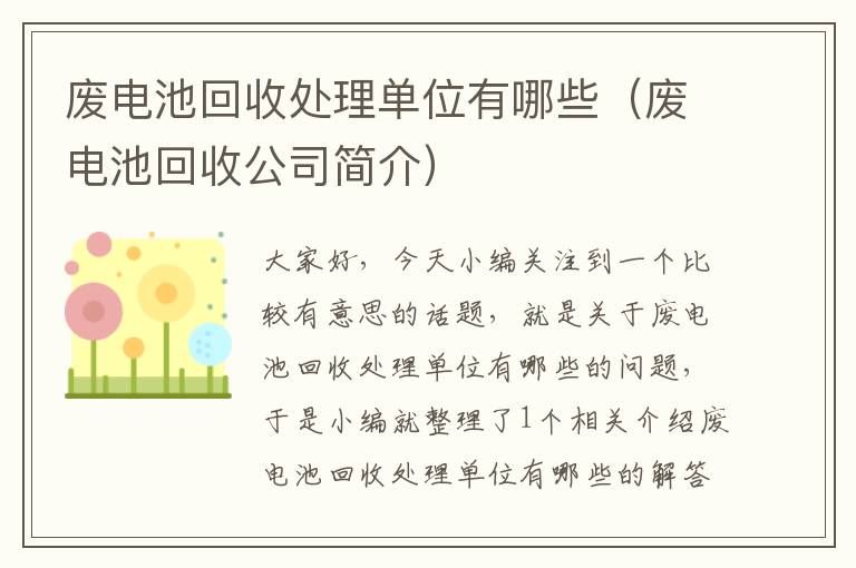 废电池回收处理单位有哪些（废电池回收公司简介）