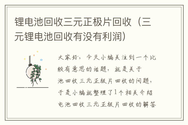 锂电池回收三元正极片回收（三元锂电池回收有没有利润）