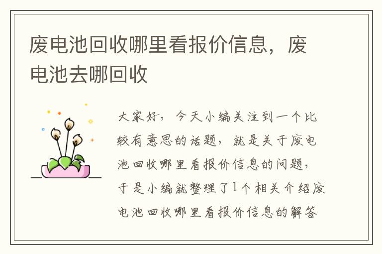 废电池回收哪里看报价信息，废电池去哪回收