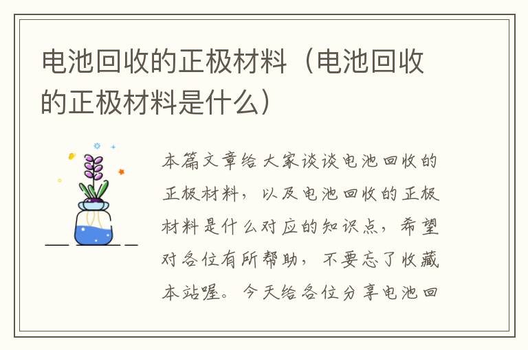 电池回收的正极材料（电池回收的正极材料是什么）