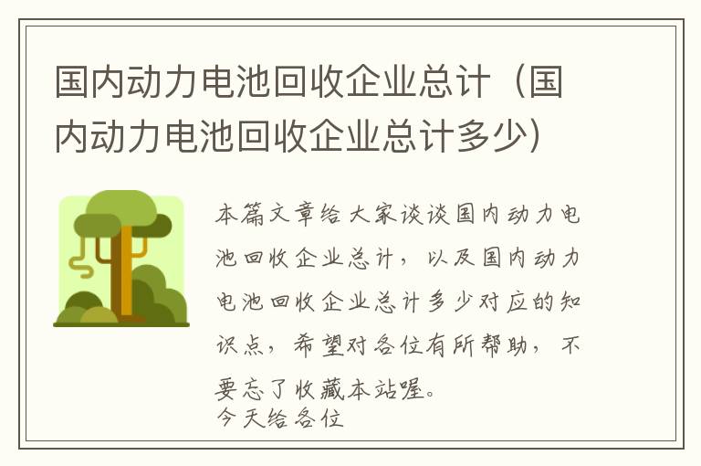 国内动力电池回收企业总计（国内动力电池回收企业总计多少）