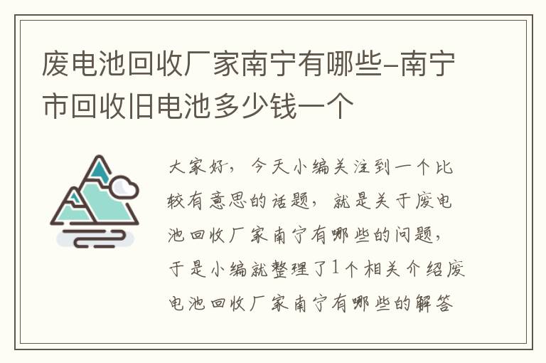 废电池回收厂家南宁有哪些-南宁市回收旧电池多少钱一个