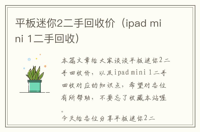 平板迷你2二手回收价（ipad mini 1二手回收）