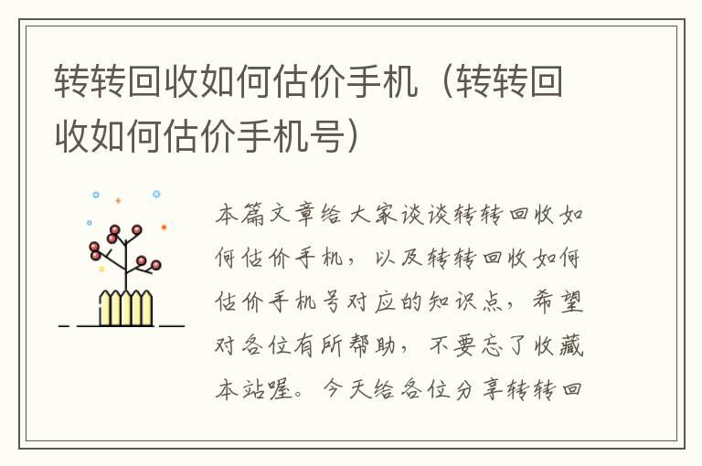 转转回收如何估价手机（转转回收如何估价手机号）