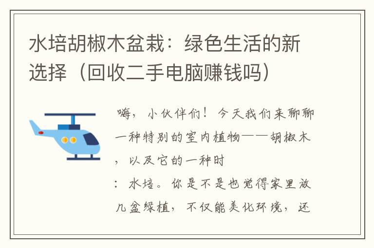 水培胡椒木盆栽：绿色生活的新选择（回收二手电脑赚钱吗）